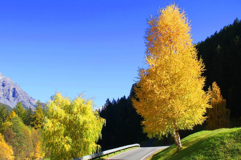 Residence Raethia Tra Bormio E Livigno Pradelle Exteriér fotografie